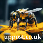honey bee iptv